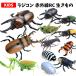  radio-controller infra-red rays RC raw kimono | rhinoceros beetle stag beetle kama drill bata shrimp Dan rubber si insect living thing real toy intellectual training toy interior playing Kids child 2000