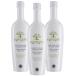 �G�O���q�I 500ml�~3�{�Z�b�g egregio �I���[�u�I�C�� �I���I�G�X�e�p ��������