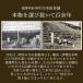 �͑��_�� �L�@�͔| �O���[�����C�{�X�e�B�[ 30�����~2�܃Z�b�g �e�B�[�o�b�O �I�[�K�j�b�N �m���J�t�F�C�� �������� �֘A�摜4