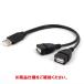 [ параллель импортные товары ]USB2.0 2 . ответвление кабель данные пересылка зарядка терминал &amp; зарядка терминал максимальный 500mA ( мужской - женский x2) 35cm _