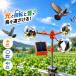 �Њd���t�� �\�[���[���悯 �J���X�悯 �n�g�悯 ���悯 ���� 360����] 3�ʃ_�C���J�b�g���˔� ������ �h���O�b�Y ���Q�΍� ���� ���� �x�� �������� �Q�b�h�~