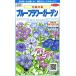 sakata. tane real . flower 5904 flower paints blue flower garden 00905904