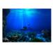 xuuyuu. подводный задний ground подводный фон аквариум задний экран аквариум задний экран море. мир узор склеивание материалы оборудование орнамент водонепроницаемый долговечность . починка .