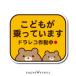 ���ǂ�������Ă��܂� �h�����R�쓮�� �V�[�� �X�e�b�J�[ �N�} �e�f�B�x�A �h���C�u���R�[�_�[ �^�撆 �h�����R ����^�] �h�~
