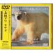 *DVD север высшее gma Canada [ National * geo графика ]