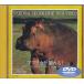 *DVD Africa ....!.... видеть Mai трещина . Africa. большой земля [ National * geo графика ]