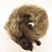  No-brand fox fur tippet muffler fur Brown #GY11 lady's 