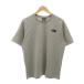  The North Face THE NORTH FACE S/S SILHOUETTE TEE футболка L серый короткий рукав Logo вышивка NT31735 /NU #ECG007 мужской 