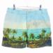 a-ruene-enRNA-N шорты Short tuck Zip fly хлопок Nankoku рисунок общий рисунок M бледно-голубой голубой низ мужской 