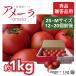  height sugar times fruit tomato Ame -la tomato preeminence goods approximately 1kg 1 box 2S~M size (12~20 piece rom and rear (before and after) go in ) gift *.. goods for Bon Festival gift year-end gift Honshu free shipping 