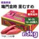 �������Y ����� ���ނ��� JA���Y A�i �G�i ��5kg M~2L�T�C�Y �T�C�Y���܂��� 12�`28�O��� �M�t�g�p �����i�� ������ ���Ε� �{�B��������