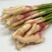  new ginger Shizuoka prefecture * Chiba prefecture * Niigata prefecture production leaf raw .10 bundle 