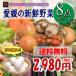 福袋 愛媛のお楽しみ野菜セット お試し版 8品 卵入り ♪ 送料無料!!