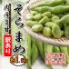  broad bean with translation Mother's Day Ehime prefecture production ..... legume broad bean meat thickness ho k ho k1.5kg free shipping sale 