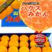  house мандарин подарок на Bon Festival .. house mi can теплица мандарин Ehime префектура производство мандарин S 30 шт /M24 шт бесплатная доставка 