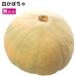  белый тыква Niigata префектура производство нет пестициды культивирование 3kg передний и задний (до и после) включая доставку 