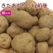 картофель .....5kg передний и задний (до и после) нет пестициды культивирование включая доставку 