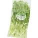 �L�@JAS�F�� �T���_���� ���_��͔| 150g�~5�� ������ �֘A�摜1