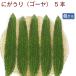 ni...( горький огурец ) 5шт.@ низкий пестициды культивирование Saitama производство включая доставку 
