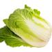  Chinese cabbage 4 sphere low pesticide cultivation including carriage 