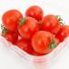  иметь машина мини помидоры 100g ×1 упаковка нет пестициды культивирование доставка отдельно отметка .. еда 