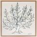  искусство постер Henri Matisse Le platane(L) Anne li* Matiz прекрасный . фирма сумма имеется подарок 