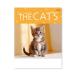 2027Calendar настенный календарь 2027 год THE CATs вписывание ske Jules интерьер практическое использование . мир 9 год календарь New Japan ka