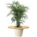 [45cm] VeroMan растения стол pot стол декоративное растение цветочный горшок . разместить на . стол сборка тип интерьер кофе стол Circle 