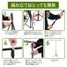 �w�i�X�^���h t���^ 2m �X�^���h �B�e�p �B�e�X�^���h 150 x 200cm �X�N���[���X�^���h �N���b�v 4�t�� �w�i�T�|�[�g �o�b�N �e�����[�N �����[�g �Y�[�� �֘A�摜4