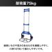 �L�����[�J�[�g �܂肽���� ��� �A�E�g�h�A �R���p�N�g ���l �R���p�N�g �����^�� �n���h�L�����[ �V���b�s���O ������ ���^ �y�� ������ �ω׏d75kg �֘A�摜2