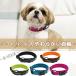  soft накладка есть ошейник . прогулка отражающий soft накладка ошейник TRUELOVE сетка модный собака домашнее животное боль . нет мягкий девочка мужчина emilystyle
