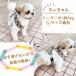����ʂ��Ȃ��I �炭�炭�n�[�l�X���[�h ��������^�C�v �n�[�l�X���[�h�Z�b�g ������ ���� �T�C�Y���߉� �n�[�l�X ���[�h ���L���p ���U�� emilystyle �֘A�摜1