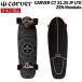 [ предварительный заказ ] CarVer Surf skate CARVER C7 31.25 JP LTD ZEN-Mandala C7 TRUCK Япония стандартный товар 