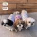  собака одежда VERY маленький размер собака Dux зима одежда осень-зима защищающий от холода теплый маленький размер туловище длина Dux общий рисунок принт бак собака одежда зима осень осень-зима зима одежда Web ограничение старый AW ограниченное количество 50%OFF