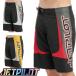 JETPILOT S25902 MOTO BOARDSHORT спортивные шорты мотокросс jet Pilot шорты для серфинга водный мотоцикл вейкбординг jet Moto брюки 