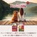 ���܂��t�� �t�B�W�J���C�t Physicalife �����p �`�L�����哤���� 2kg 2�L�� �h�b�O�t�[�h �� �C�k ���� �y�b�g ���N �����F ������ ���Y�� �����h�{�H �֘A�摜3
