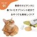 ���� ���f�B�T�v�� �v���X �L�p �t���T�|�[�g 6g�~8�{ vetslabo supported by Yakult MediSuppli+  �P�i �T�v�������g����� ���[���֔z�� �֘A�摜2