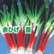  овощи. рассада красный .. лук порей рассада лук-батун *. рассада средний . разделение .50шт.@/ пачка [3 месяц последняя декада примерно .. последовательный отправка ]