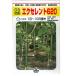  овощи. вид / семена excellent 620 огурец 350 шарик ( почтовая доставка отправка / большой пакет )
