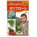  овощи. вид / семена kali поток re* машина vorufi ole Италия овощи 50 шарик ( почтовая доставка отправка )