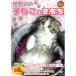 DVD симпатичный .. это . моти CCP-8007. кошка ... кошка Chan .. лапа развлечение животное изображение животное домашнее животное кошка .. кошка баловство .. младенец кошка животное изображение симпатичный 