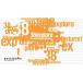 a... соответствует 20%OFF распродажа miya Explorer 38explore 38-kT Dress up Sticker Vermilion