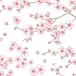 Poe погреб tsu транскрипция бумага цветочный принт CHERRY BLOSSOMS ( Cherry bro Sam / Sakura )