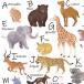  Poe погреб tsu транскрипция бумага ANIMAL ALPHABET( животное алфавит )/ симпатичный животное 