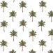  Poe погреб tsu фарфор искусство транскрипция бумага PALM TREEll(pa-m tree 2)/ Nankoku способ модный resort ... дерево cocos nucifera 