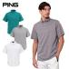 �s���iPING�j�i�����Y�j�S���t�E�F�A ���C�u���b�N�{�^���_�E�� �����|���V���c 621-6160605