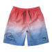  Quick Silver (Quiksilver)( Kids ) Kids NEW WAVE VOLLEY YOUTH 16 спортивные шорты 24SUKBS242021BLU