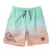  Quick Silver (Quiksilver)( Kids ) Kids NEW WAVE VOLLEY YOUTH 16 спортивные шорты 24SUKBS242021ORG