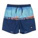  Quick Silver (Quiksilver)( Kids ) купальный костюм спортивные шорты Junior EVERYDAY WORDBLOCK VL YTH14 25SPKBS251002BQV8