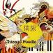 סɥ/CHICAGO POODLE/ι/GZCA5199